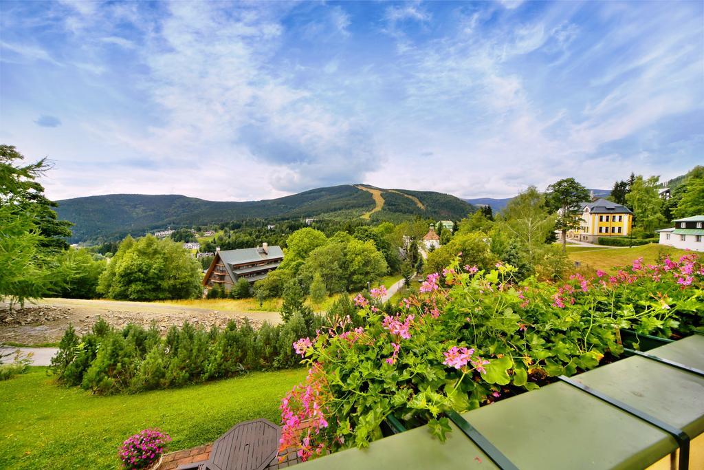 Pension Silva Špindlerŭv Mlýn Cameră foto