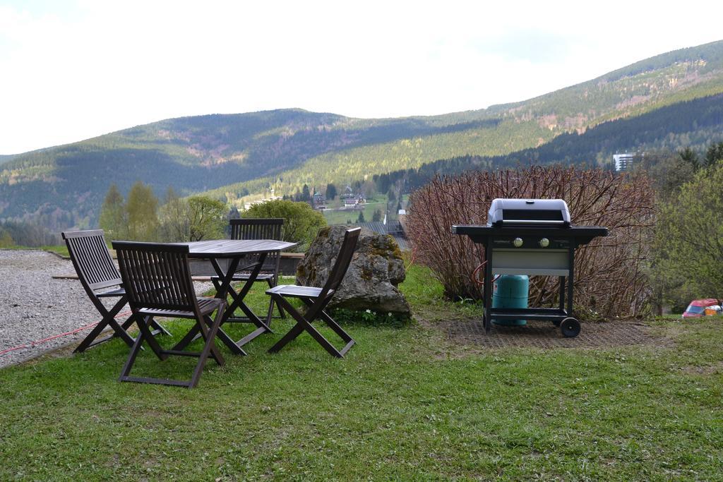 Pension Silva Špindlerŭv Mlýn Exterior foto
